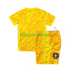 Billige Fotballdrakter Portugal Keeper Barn Hjemmedraktsett EM 2024 Kortermet